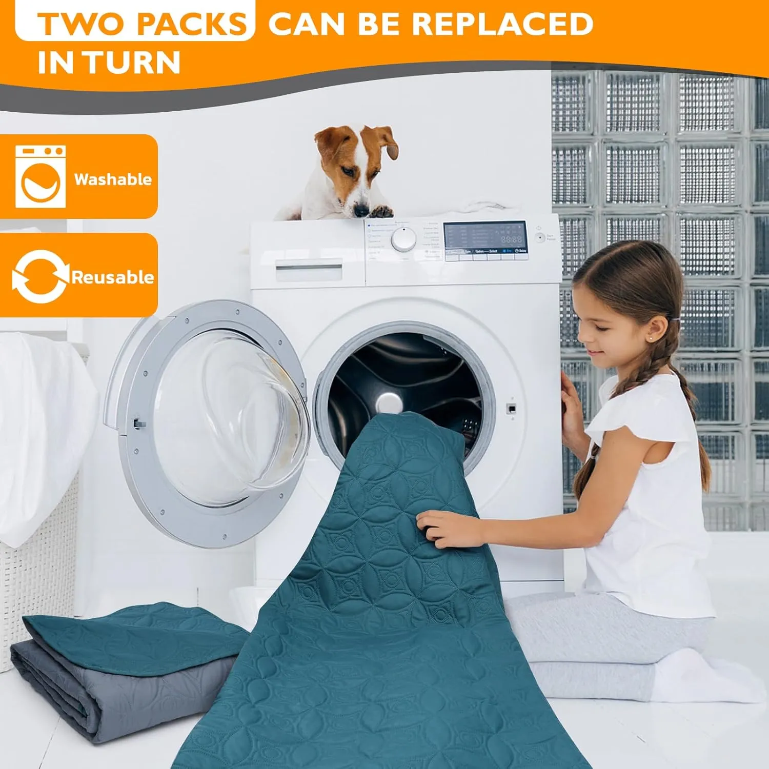 2 Packs Waterproof Dog Blankets Washable for Large Dog, Pet Couch Covers Protect Bed Sofa Furniture, Soft Reversible Dog Blankets Anti Scratches Dirty for Puppy Kids (38"75", Teal/Grey Blue)