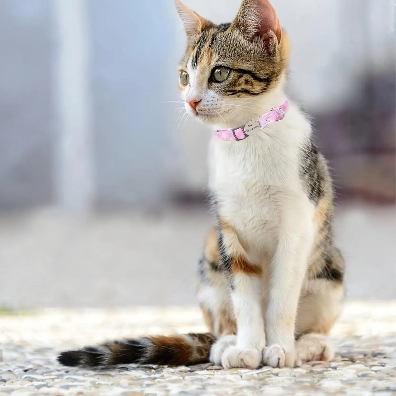 3 Pack Breakaway Custom Floral Cat Collars,Personalized Kitty Collar with Bell,Adjustable Quick Release Safety Buckle and Durable Kitties Cat Collar