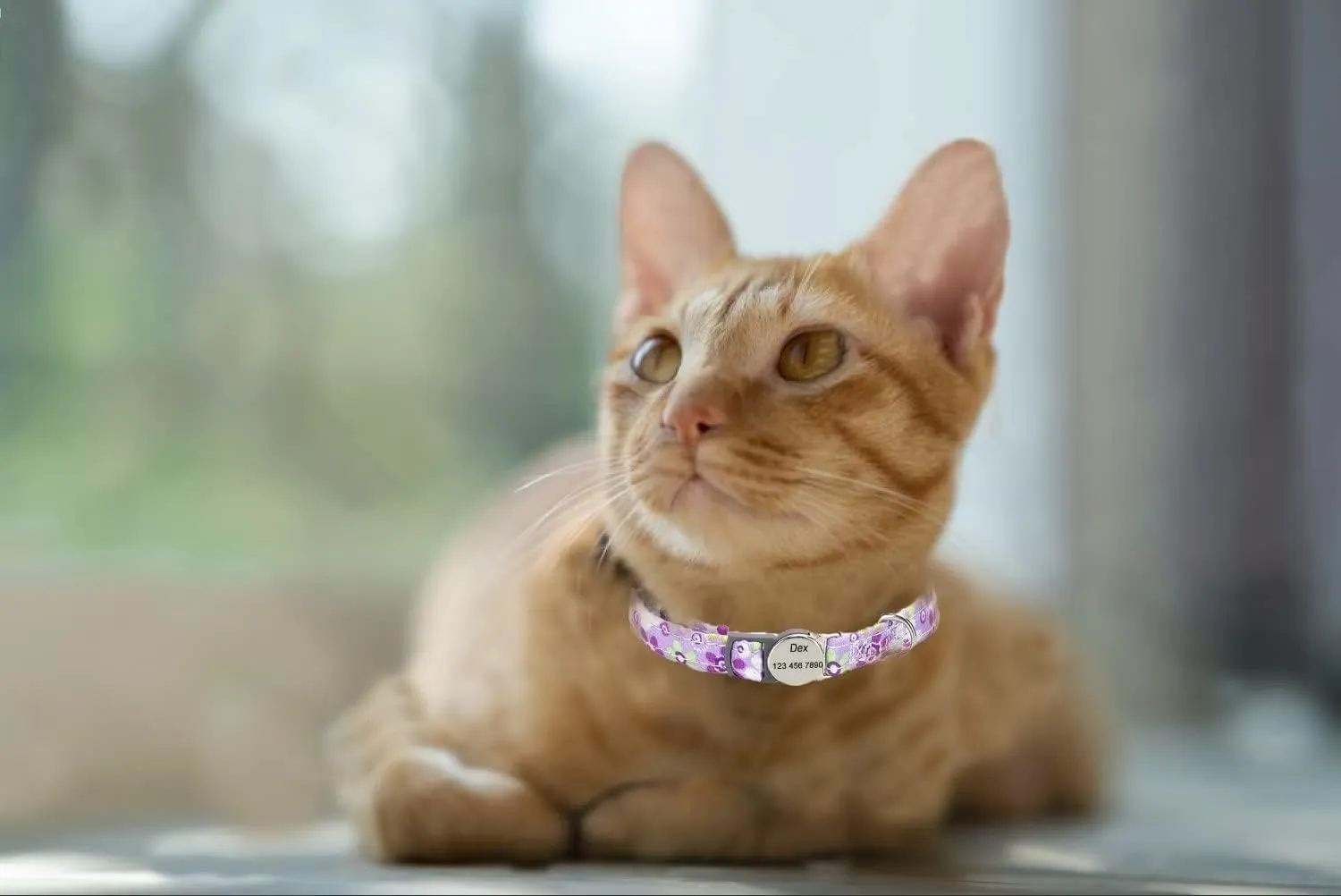 3 Pack Breakaway Custom Floral Cat Collars,Personalized Kitty Collar with Bell,Adjustable Quick Release Safety Buckle and Durable Kitties Cat Collar