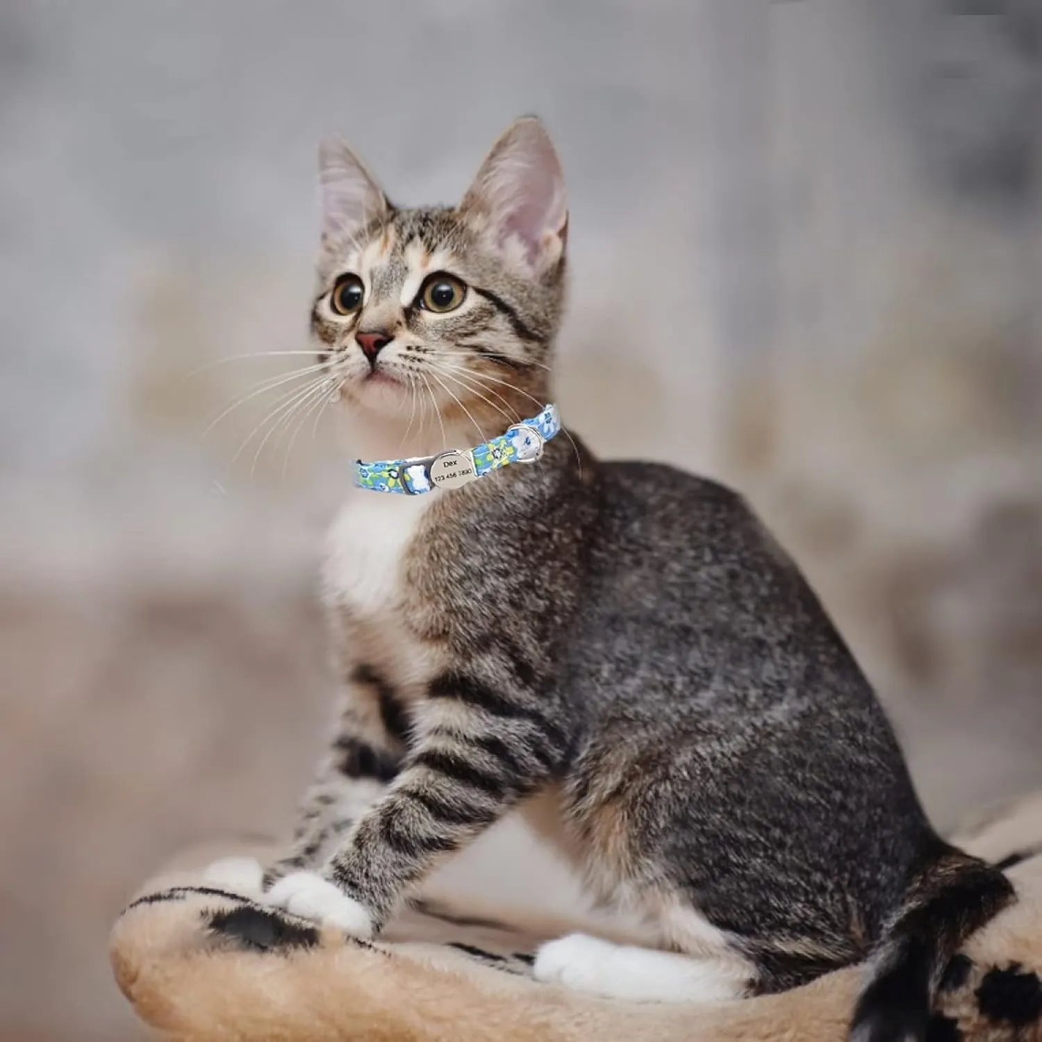 3 Pack Breakaway Custom Floral Cat Collars,Personalized Kitty Collar with Bell,Adjustable Quick Release Safety Buckle and Durable Kitties Cat Collar