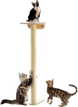 52" Tall Cat Scratching Post for Indoor Cats and Kittens with Platform, Premium Kitten Scratcher Sisal Scratch Posts for Indoor Cats