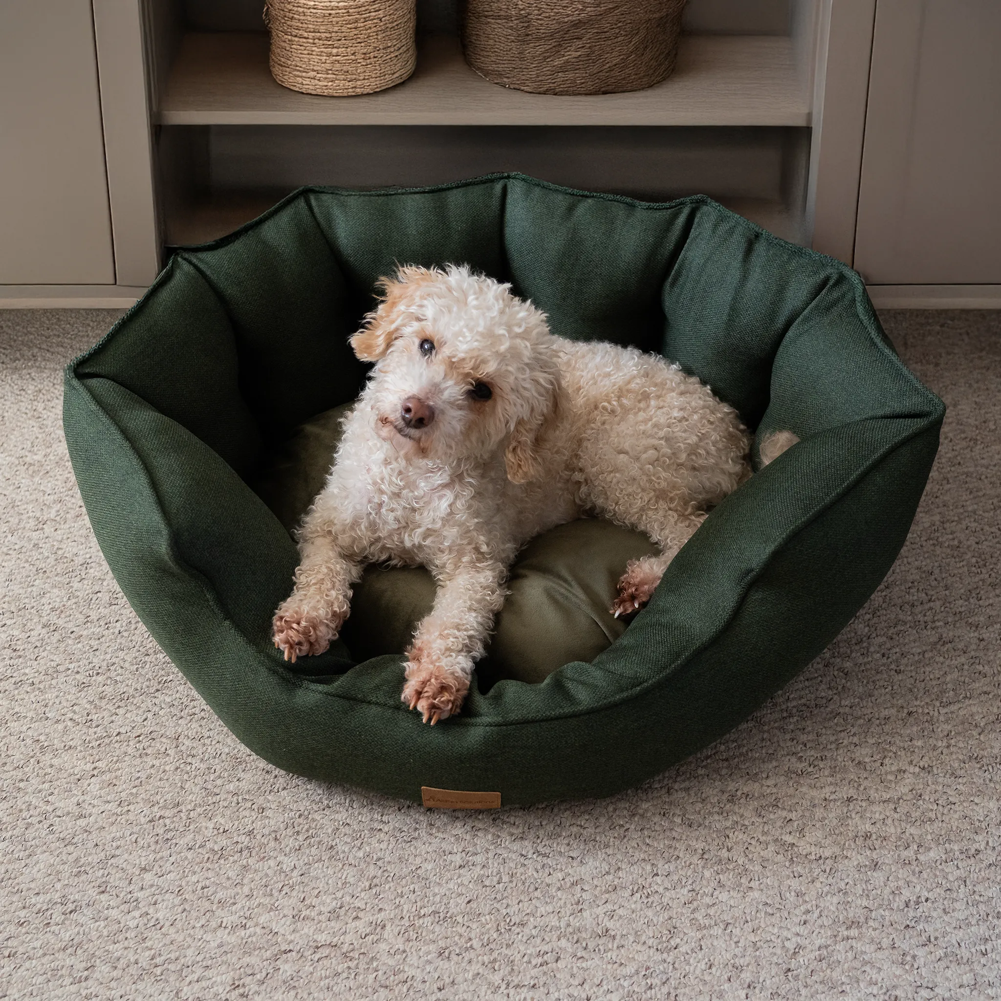 AllPetSolutions Alfie Premium Luxury Dog Bed - Forest Green - S/M/XL