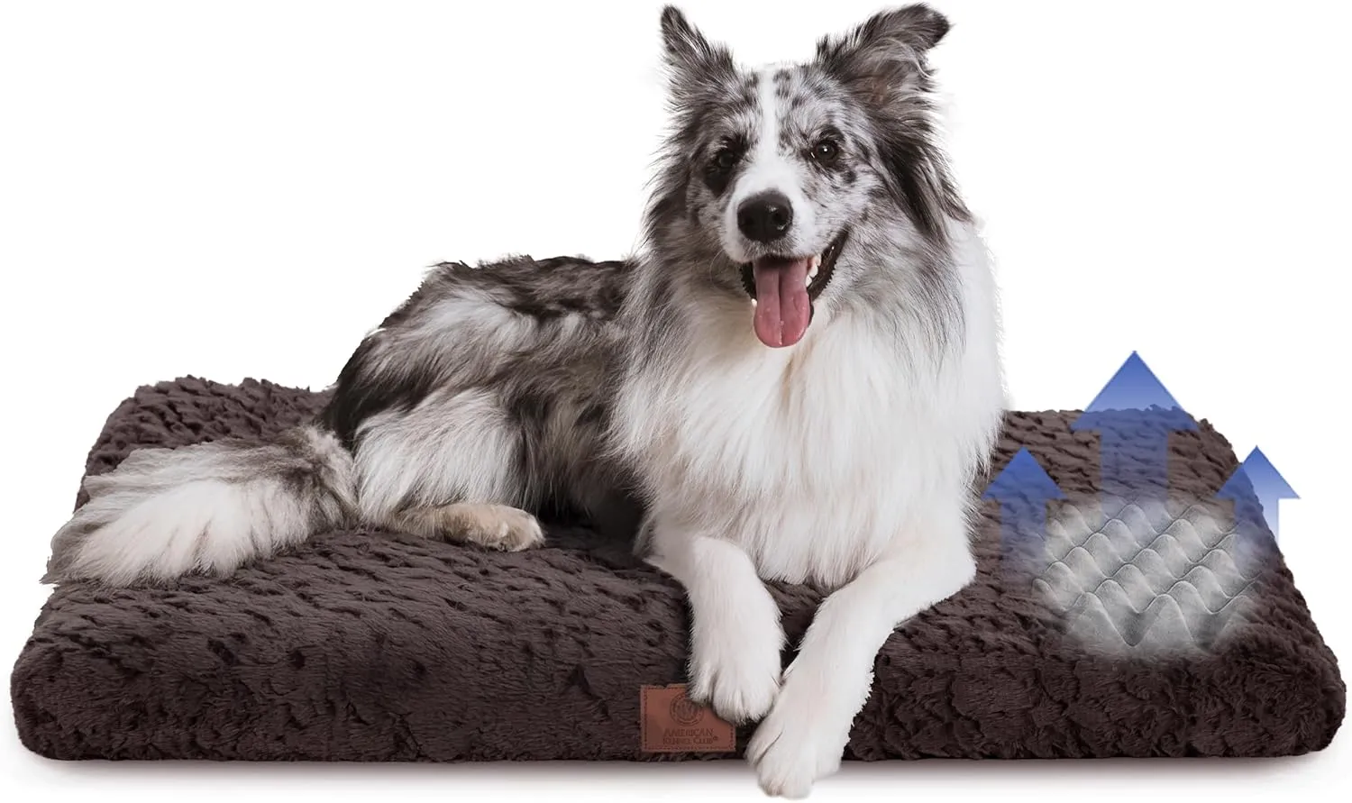 AMERICAN KENNEL CLUB ,,,,,,36x23,