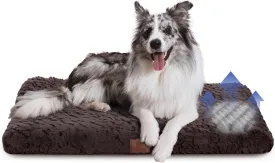 AMERICAN KENNEL CLUB ,,,,,,36x23,