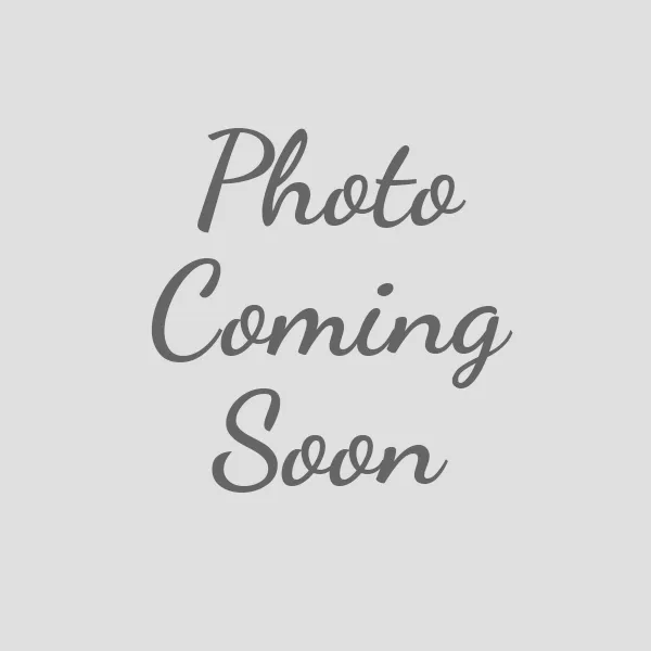 Anchor Dog Harness - 754