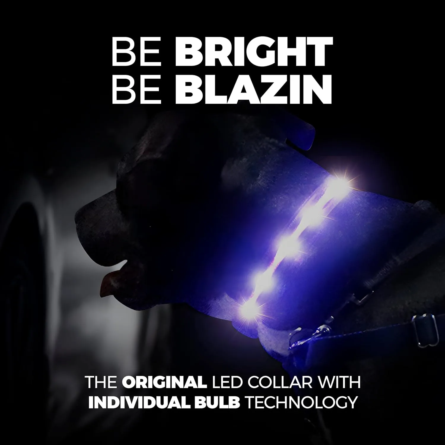 Blazin Light Up Dog Collar - The Original Light Up Dog Collar - USB Rechargeable - Waterproof - 1,000 Feet of Visibility - Dog Collar Light for Small, Medium, Large Dogs - US Brand