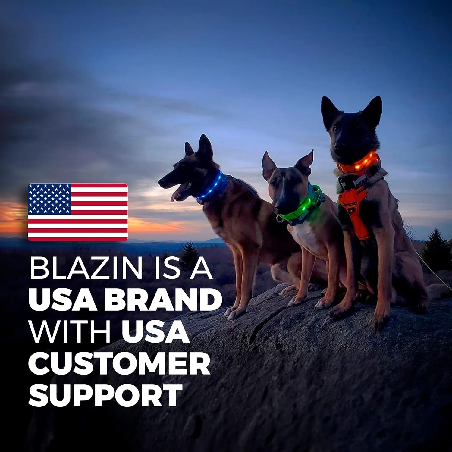 Blazin Light Up Dog Collar - The Original Light Up Dog Collar - USB Rechargeable - Waterproof - 1,000 Feet of Visibility - Dog Collar Light for Small, Medium, Large Dogs - US Brand