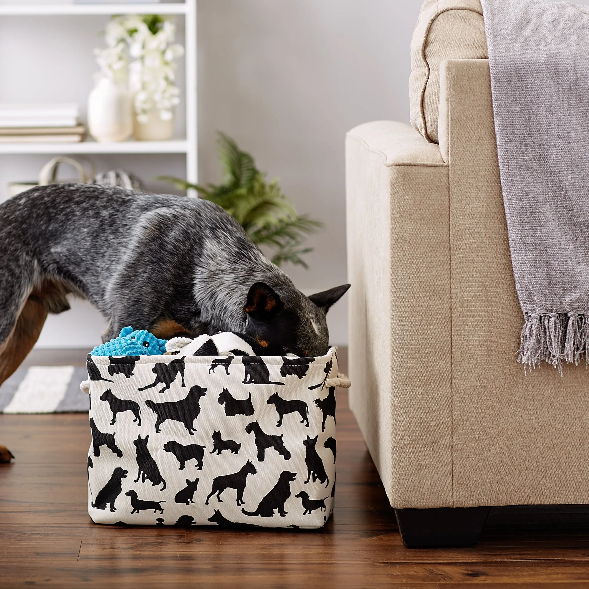 Bone Dry Collapsible Pet Storage Bin, Dog Show Print, Black/White, Medium - 16x10x12"