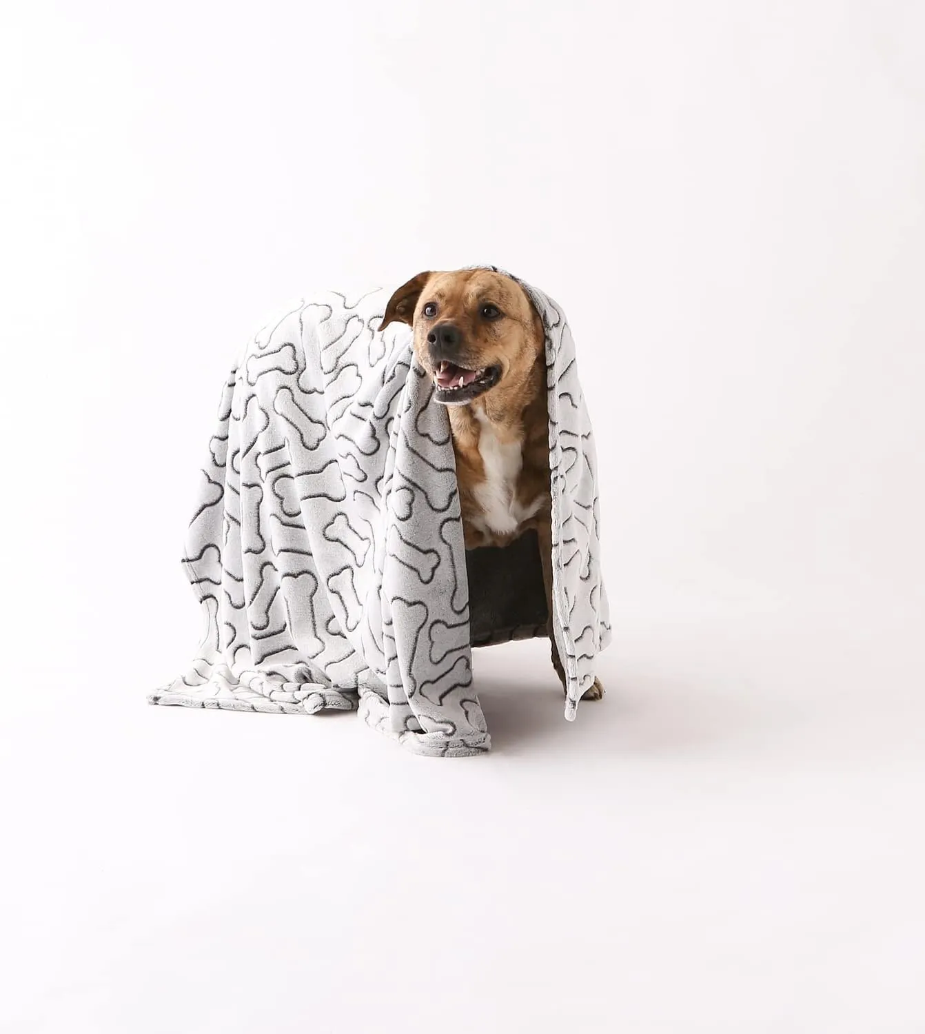 Bone Dry Embossed Bone Collection, Pet Blanket, 36x48, Black