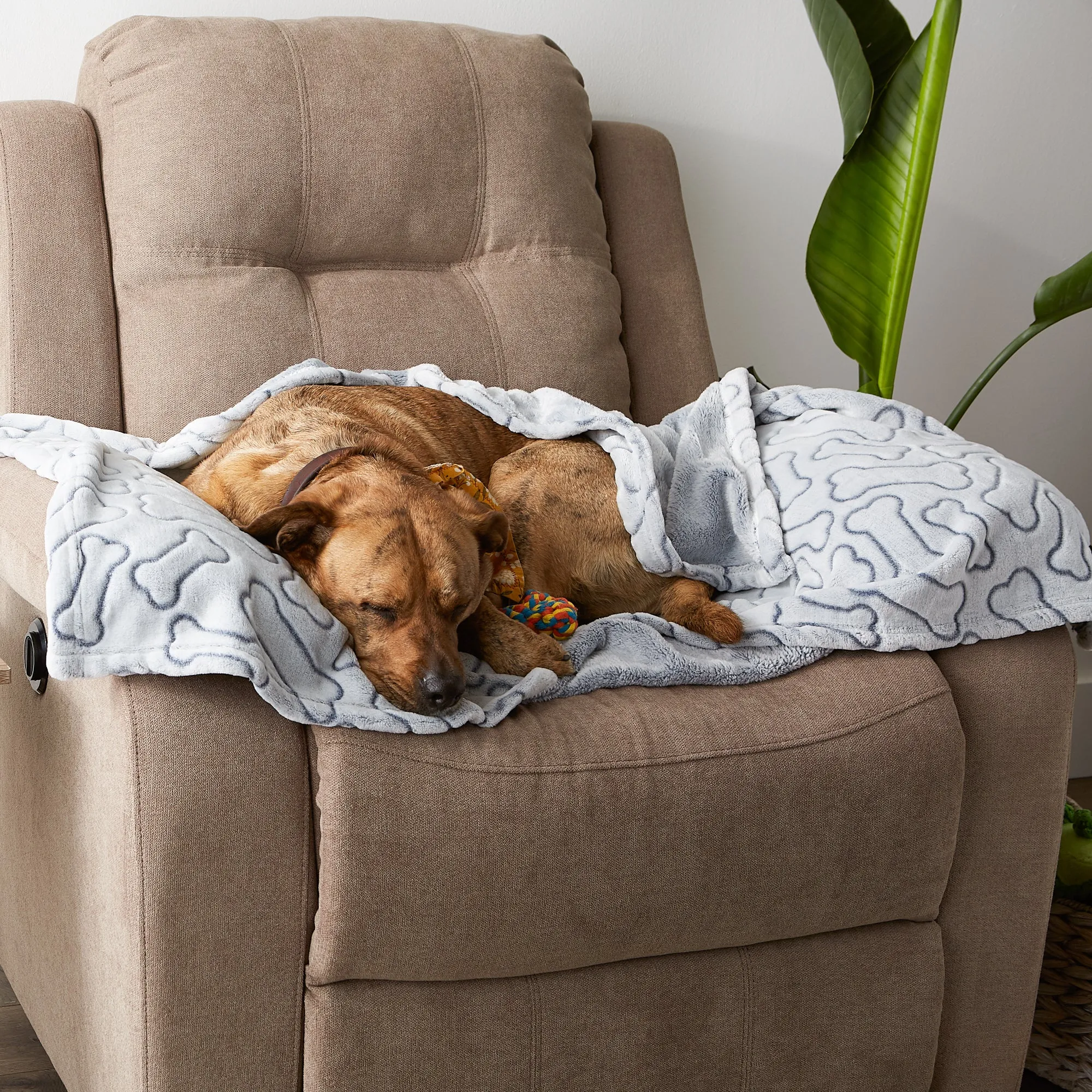 Bone Dry Fleece Pet Blanket, Embossed Bone Print, Gray - 36x48"