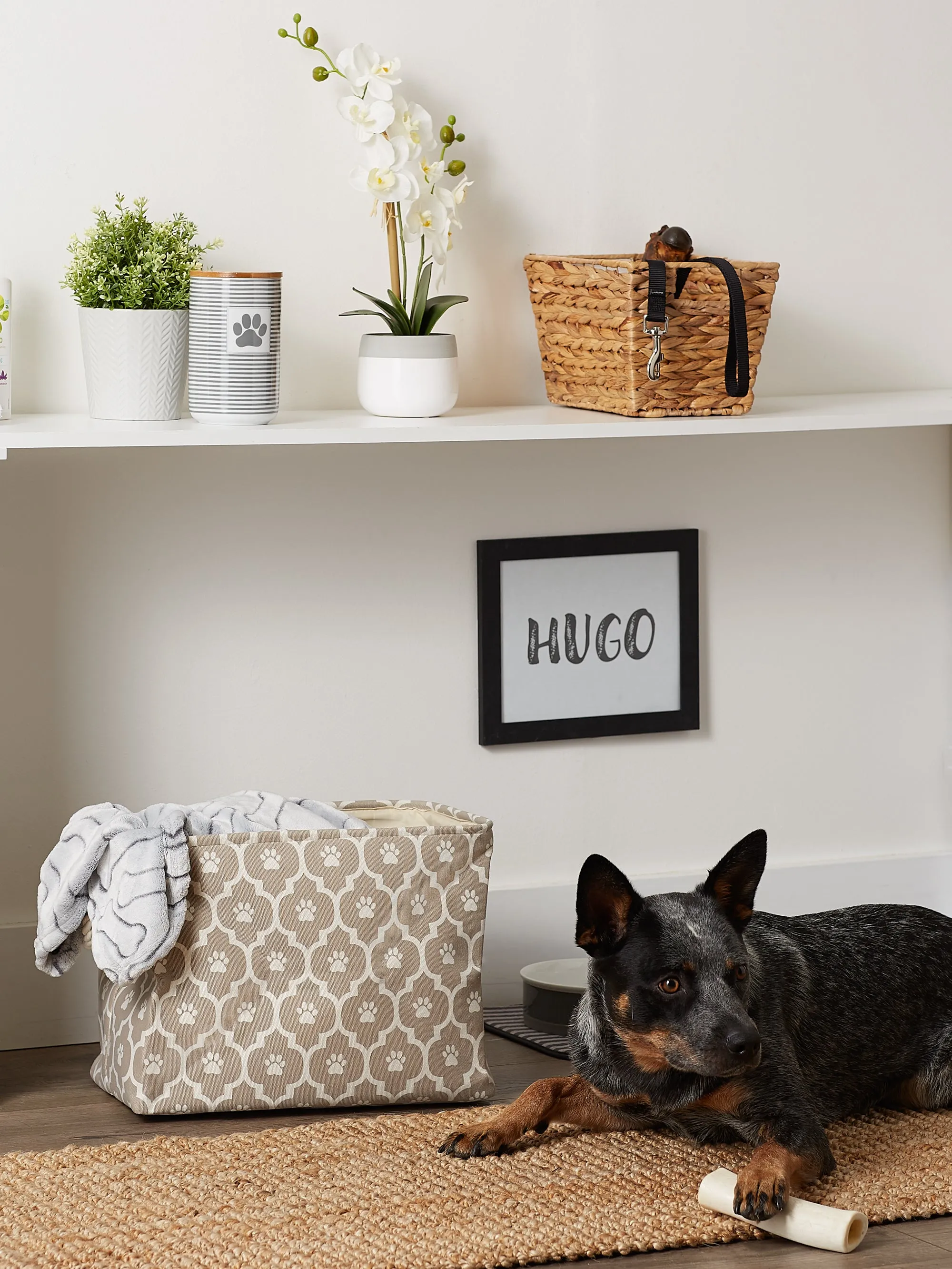 Bone Dry Pet Storage Bin, Lattice Paw Print, Stone, Medium  - 16x10x12"