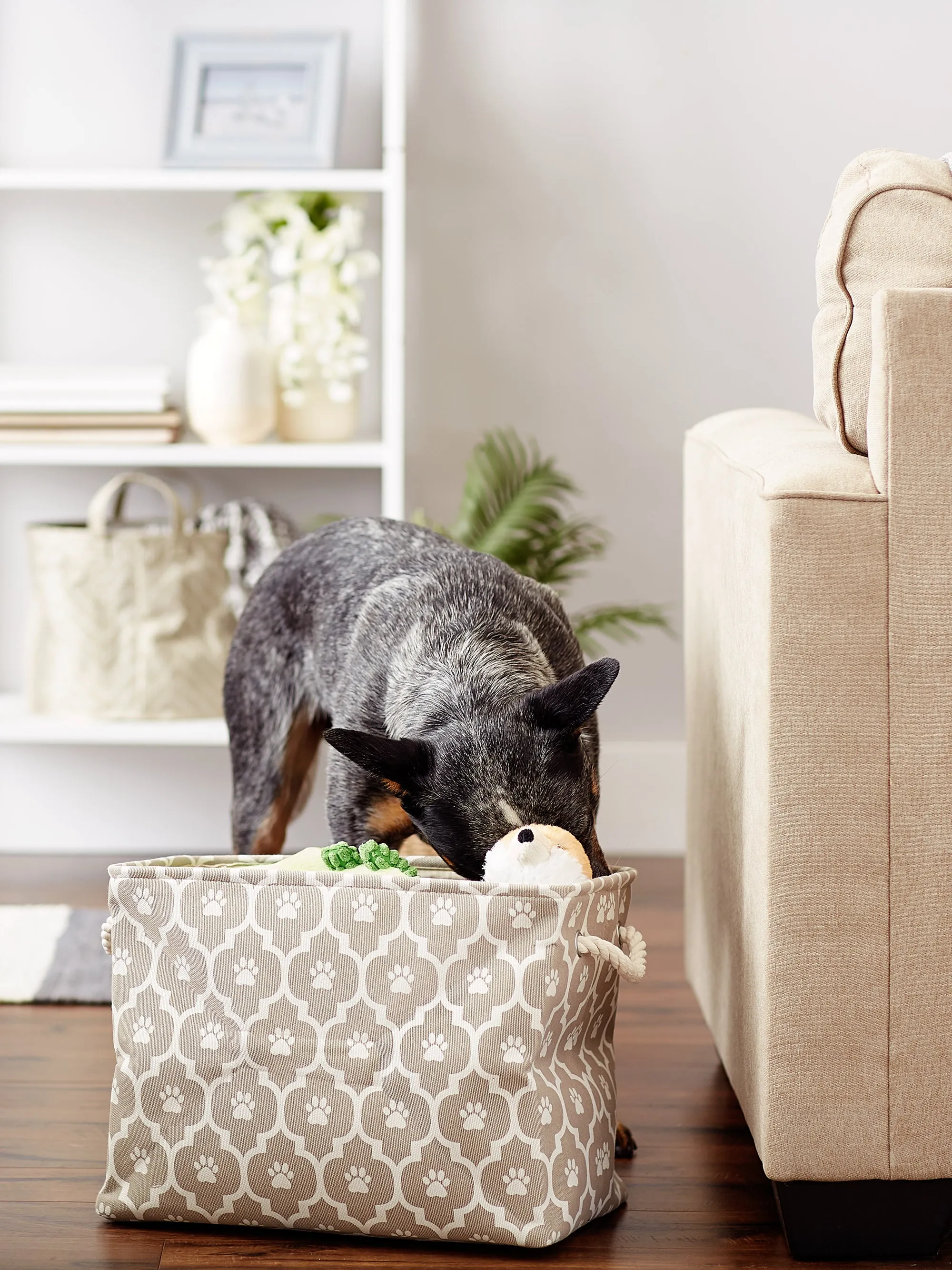 Bone Dry Pet Storage Bin, Lattice Paw Print, Stone, Medium  - 16x10x12"