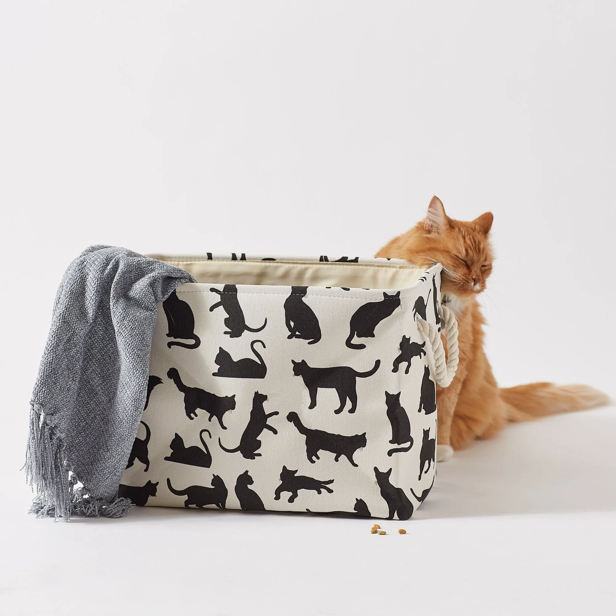 Collapsible Pet Storage Bin, Cat's Meow Print, Black/White, Medium -16x10x12"