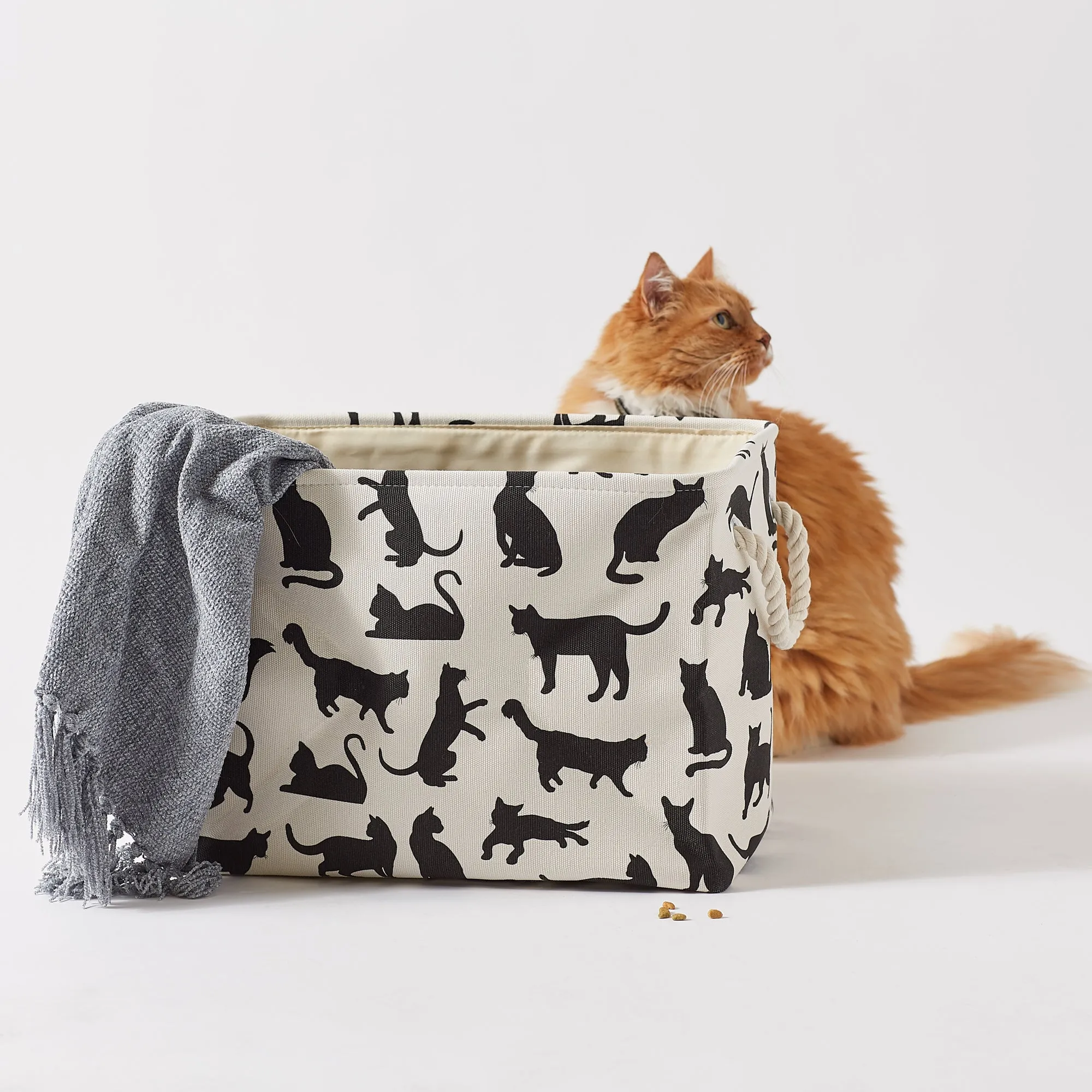 Collapsible Pet Storage Bin, Cat's Meow Print, Black/White, Medium -16x10x12"
