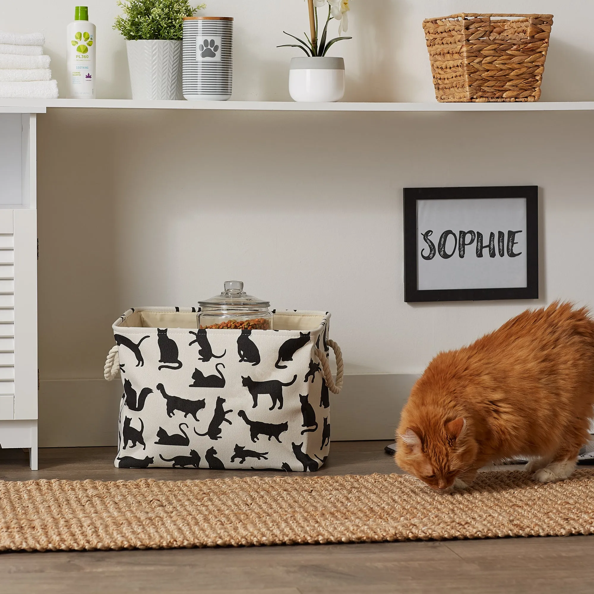 Collapsible Pet Storage Bin, Cat's Meow Print, Black/White, Medium -16x10x12"