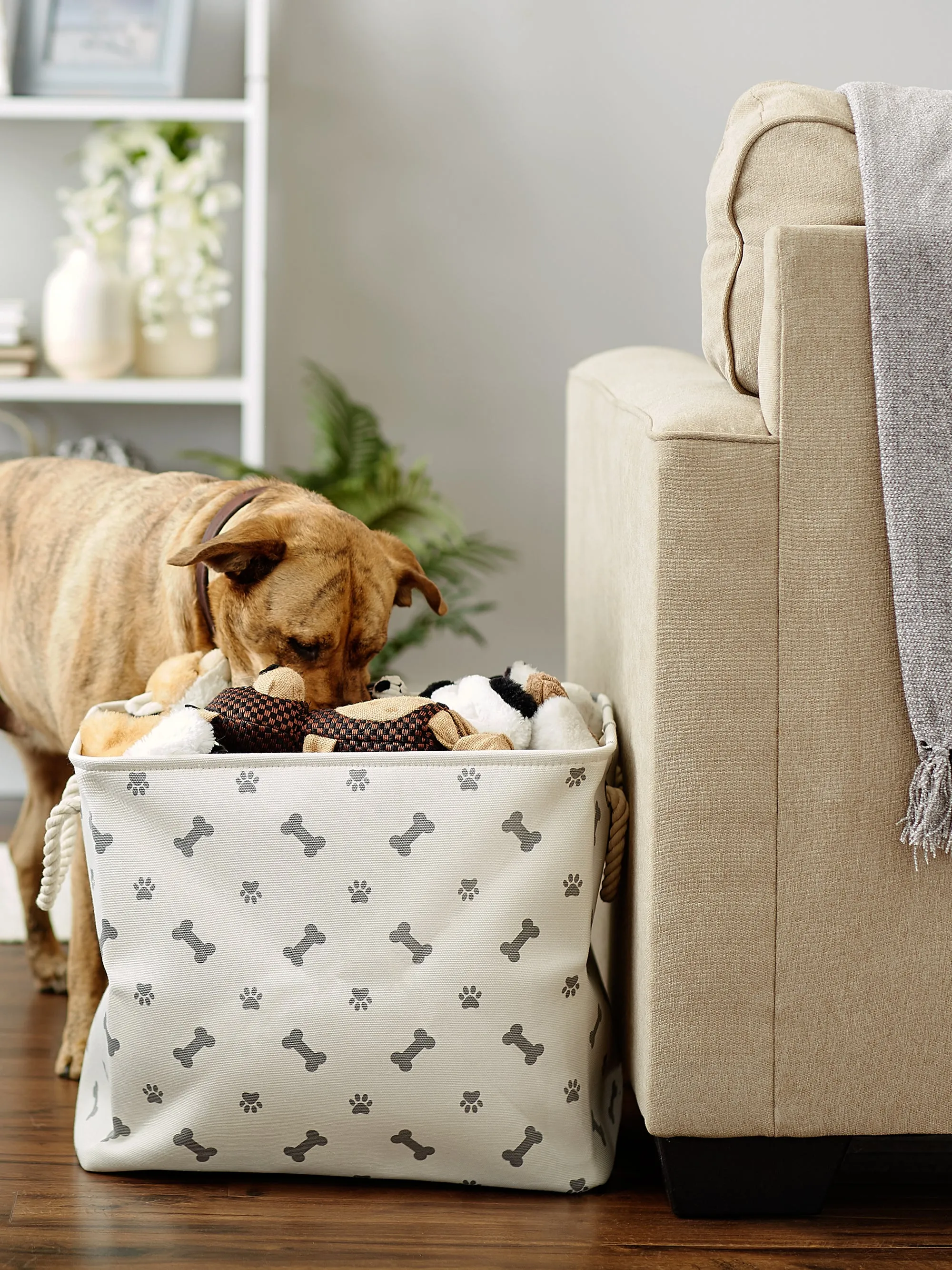 Collapsible Pet Storage Bin, Paw/Bone Print, Gray, Large - 17.5x12x15"