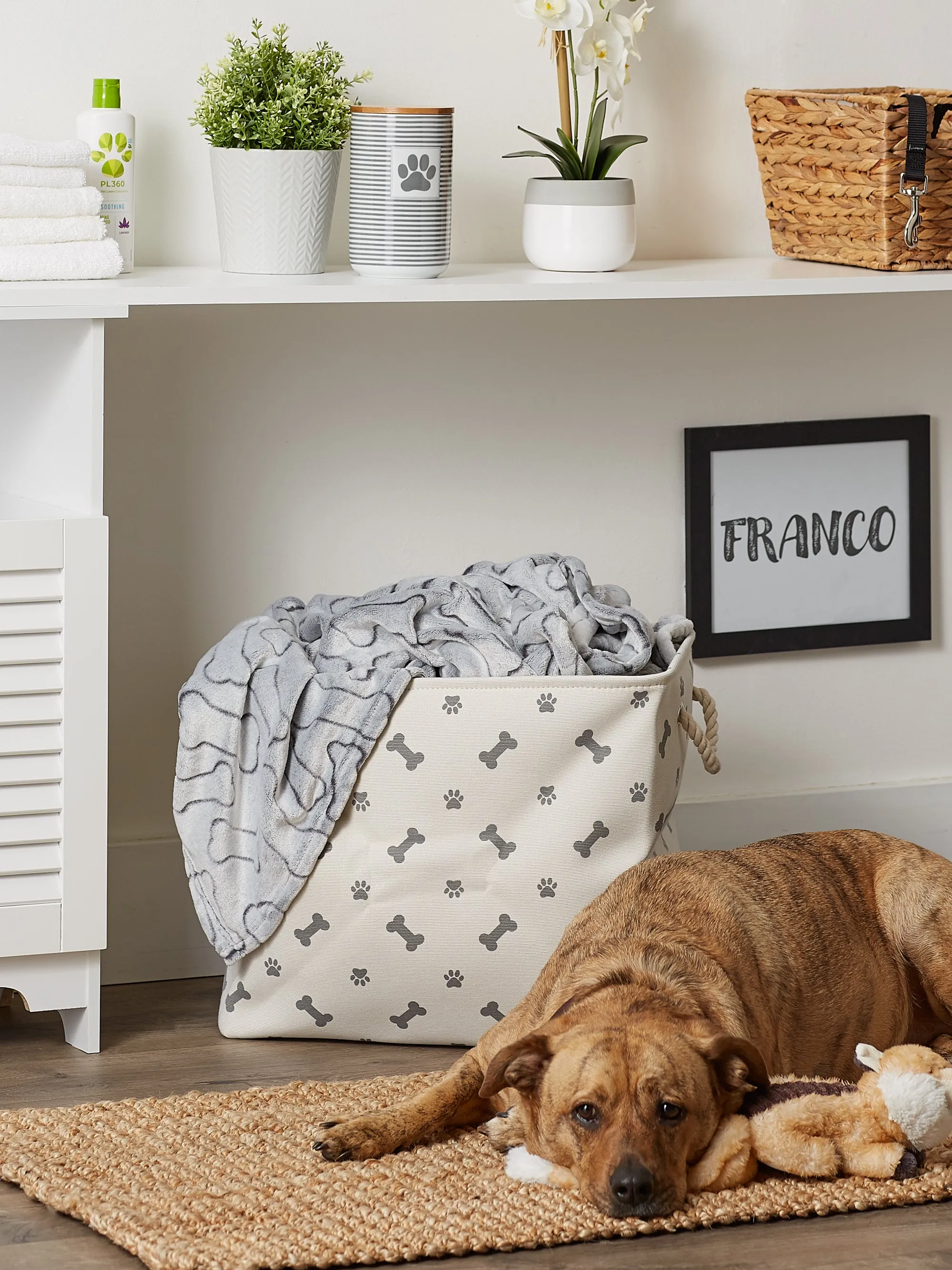 Collapsible Pet Storage Bin, Paw/Bone Print, Gray, Large - 17.5x12x15"