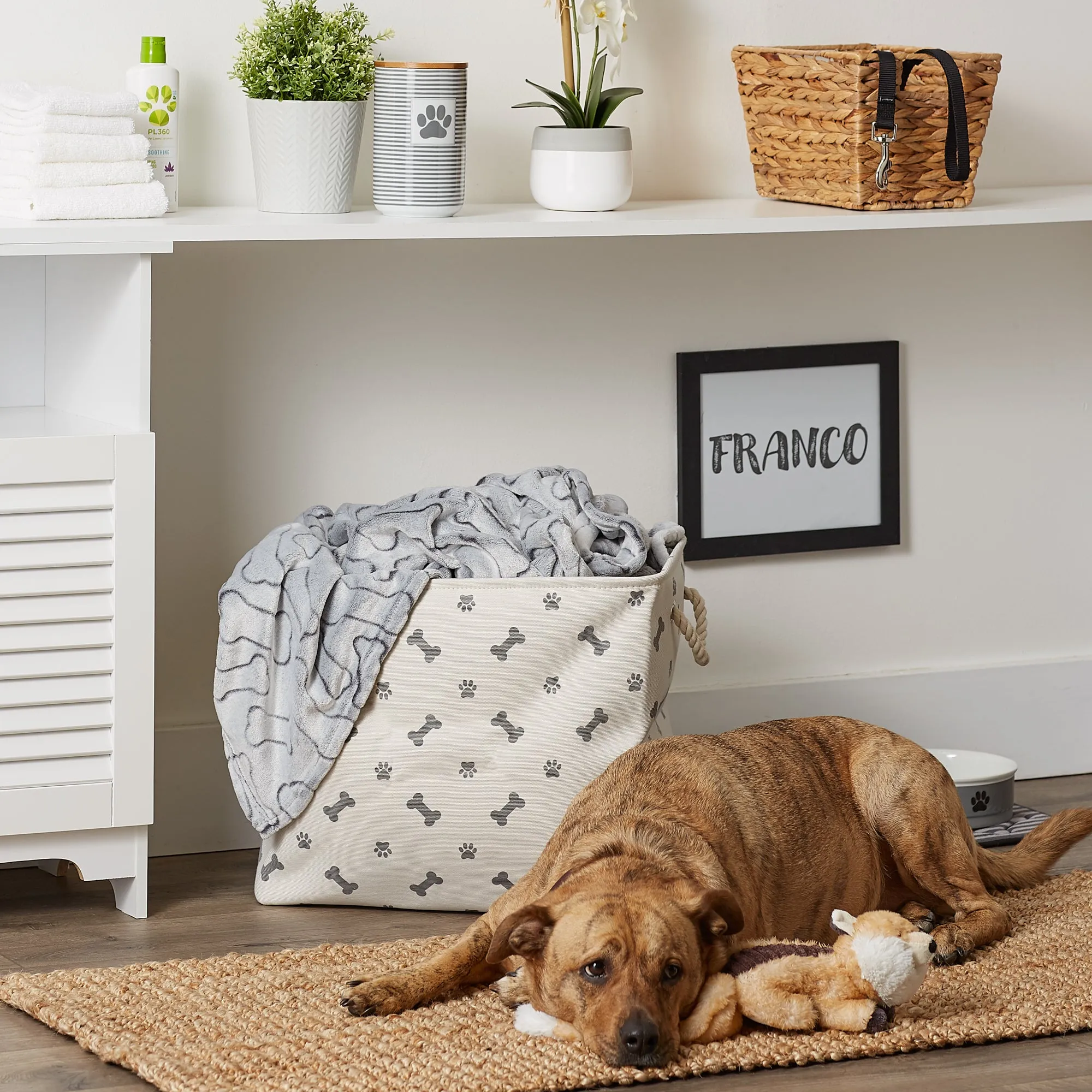 Collapsible Pet Storage Bin, Paw/Bone Print, Gray, Large - 17.5x12x15"