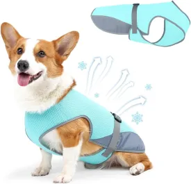 Dog Cooling Vest for Summer, Lightweight Cooling Shirt for Small Dogs (11-22lbs), Ideal for Chihuahuas, Bichons and Yorkies and Other Small Breeds, UV Protection Breathable Mesh (Blue, Small)