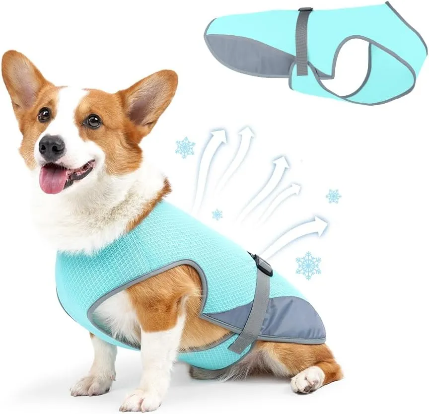 Dog Cooling Vest for Summer, Lightweight Cooling Shirt for Small Dogs (11-22lbs), Ideal for Chihuahuas, Bichons and Yorkies and Other Small Breeds, UV Protection Breathable Mesh (Blue, Small)