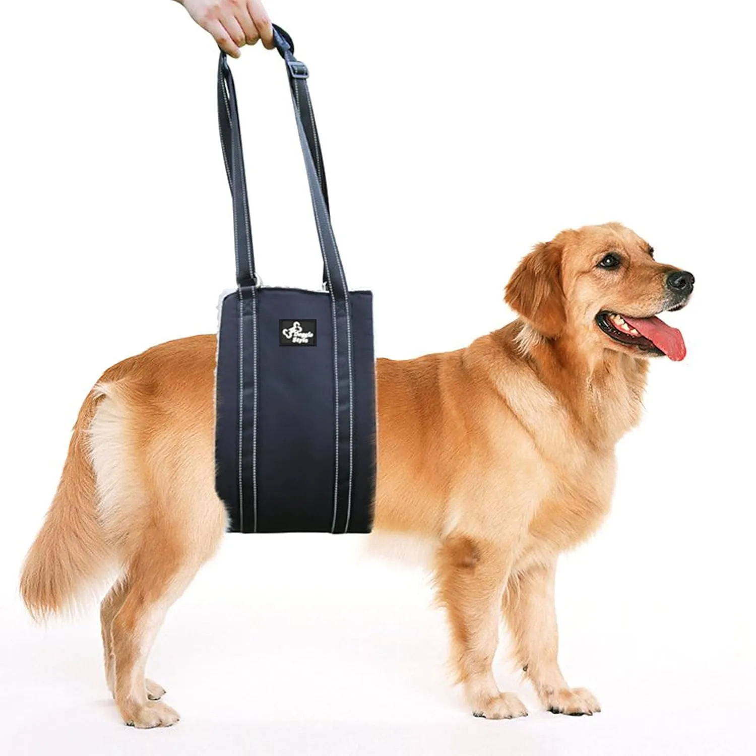 Doggie Stylz Portable Dog Lift Harness 4-150 lbs. Dog Sling for Back Legs, Hip Support Harness Helps Lift for Rehab, Weak Rear Legs, Hind Leg Support, Senior, Injured, Disabled, After Surgery (Large)