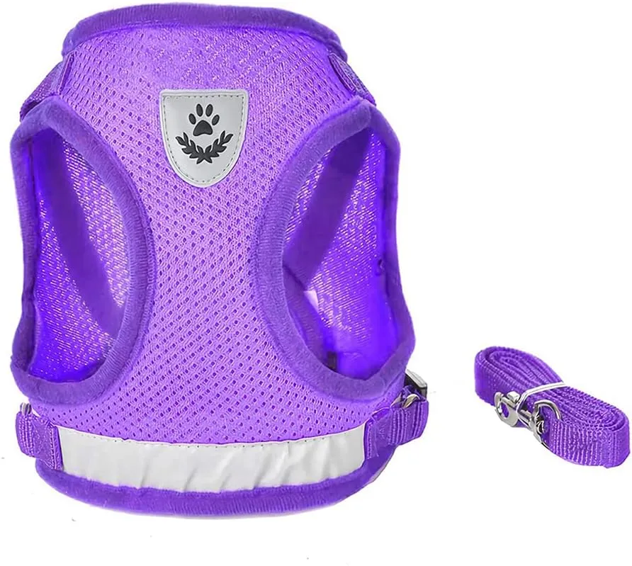 FEimaX Dog Harness and Leash Set for Walking, Soft Mesh Adjustable Easy Control Lightweight Cat Vest Harnesses with Reflective Strips, Escape Proof Small Dogs Cats Vests