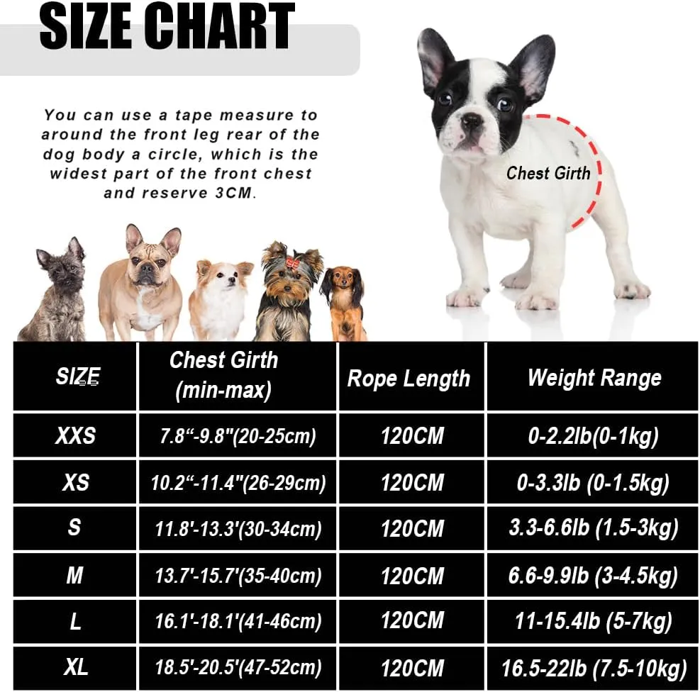 FEimaX Dog Harness and Leash Set for Walking, Soft Mesh Adjustable Easy Control Lightweight Cat Vest Harnesses with Reflective Strips, Escape Proof Small Dogs Cats Vests