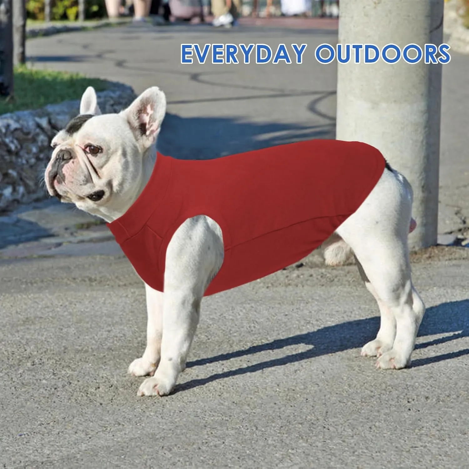 Fleece Vest for Dogs - Red, S - Warm and Stretchable Sweatshirt, Lightweight Sweater, Jacket for Small Dogs, Pullover Design, Chihuahua Clothes, Papillon, Pomeranian