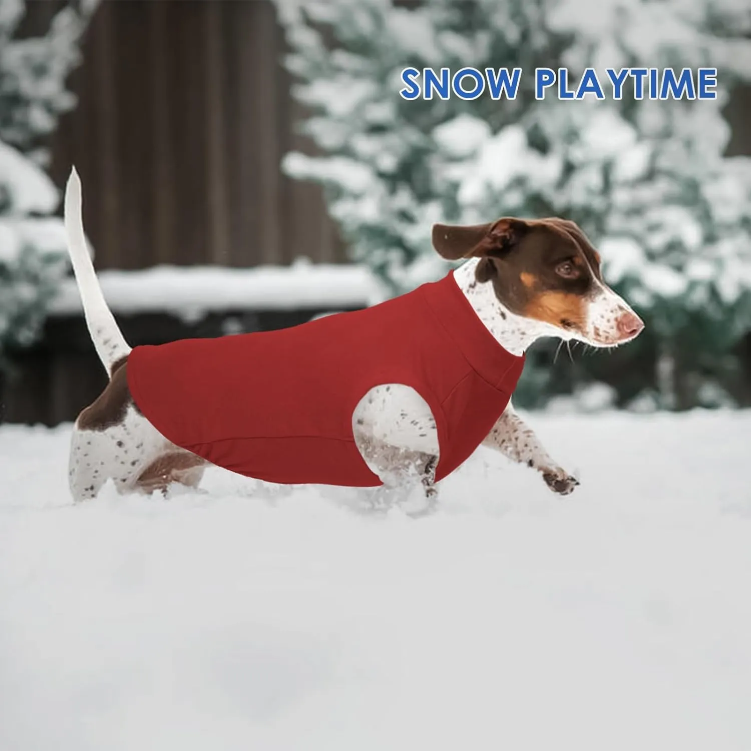 Fleece Vest for Dogs - Red, S - Warm and Stretchable Sweatshirt, Lightweight Sweater, Jacket for Small Dogs, Pullover Design, Chihuahua Clothes, Papillon, Pomeranian