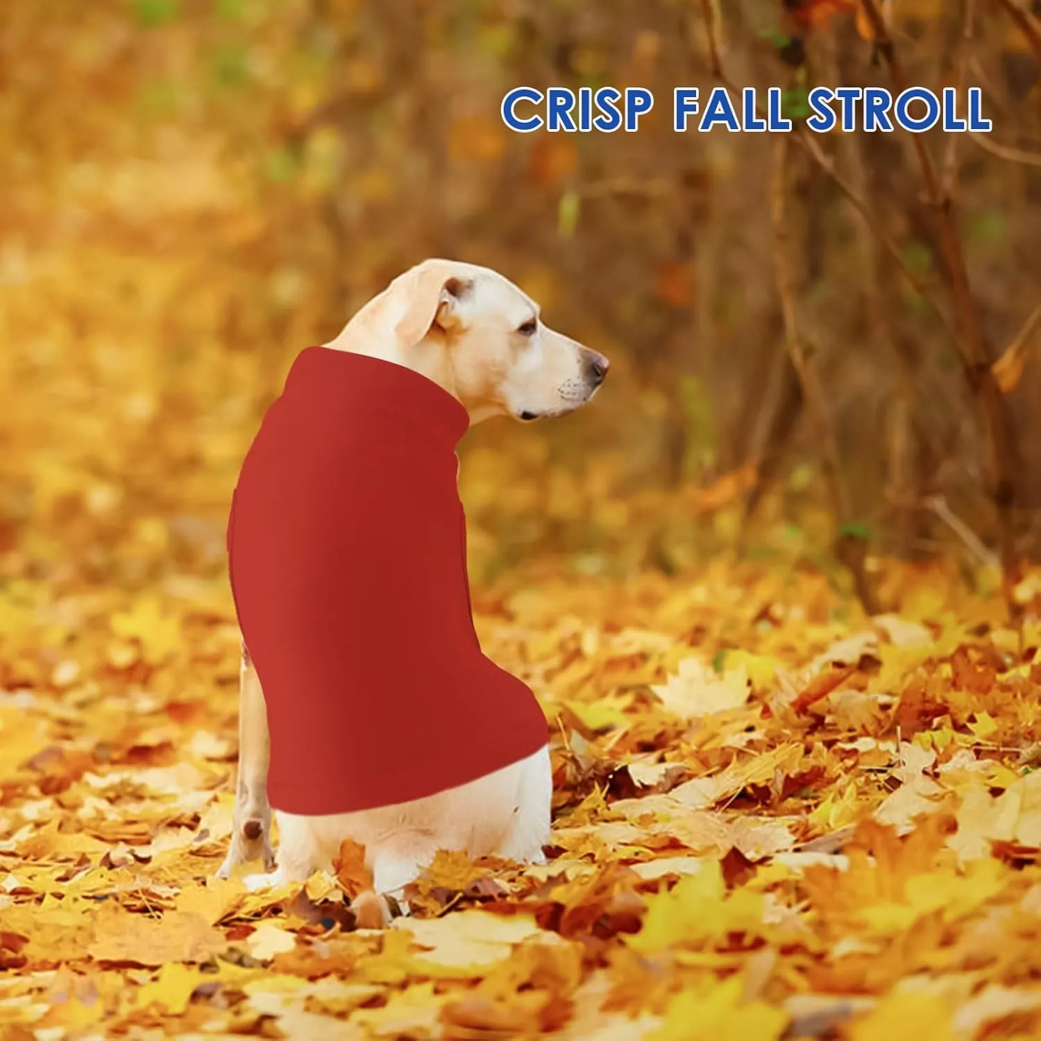Fleece Vest for Dogs - Red, S - Warm and Stretchable Sweatshirt, Lightweight Sweater, Jacket for Small Dogs, Pullover Design, Chihuahua Clothes, Papillon, Pomeranian