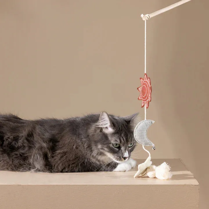 Fringe Cat Toy Teaser Happy Skies