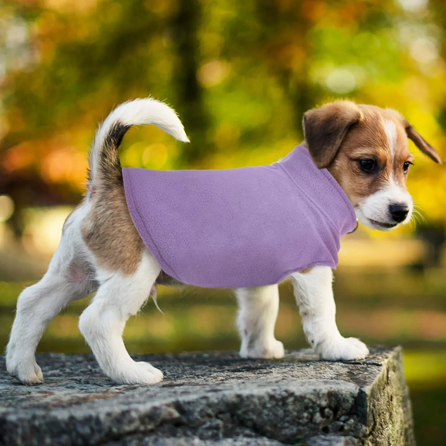 FUAMEY Dog Fleece Vest, Warm Sweatshirt Pullover Mama-Baby Dog Turtleneck Coat with Leash Hole, Dachshund Silver Medium Dog Jacket winter L