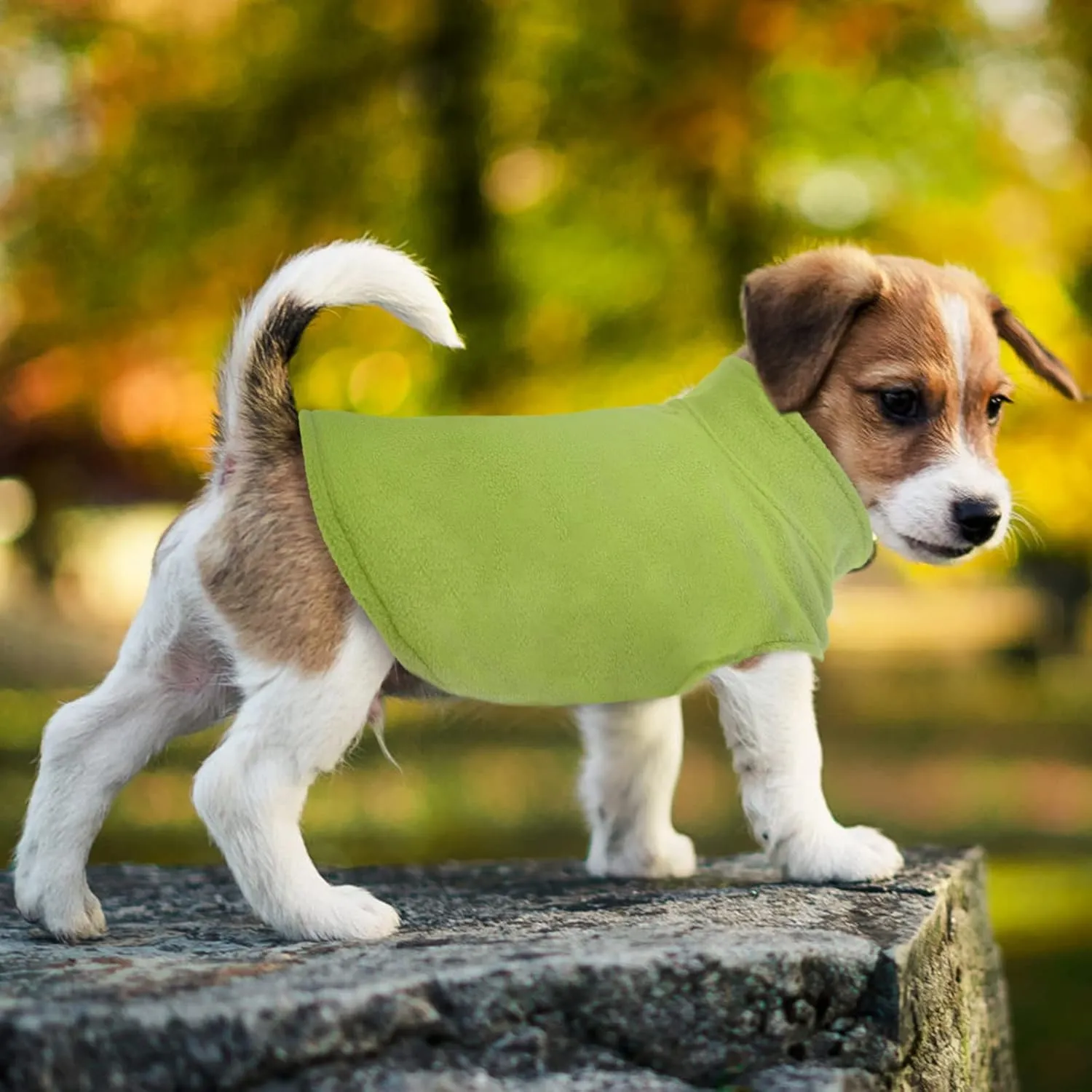 FUAMEY Dog Fleece Vest,Warm Sweatshirt Puppy Stretchy Sweater Pullover Dog Turtleneck Coat Dog Winter Jacket with Leash Hole, Dachshund Sweaters Yorkie Clothes for Small Medium Large Dogs Green L