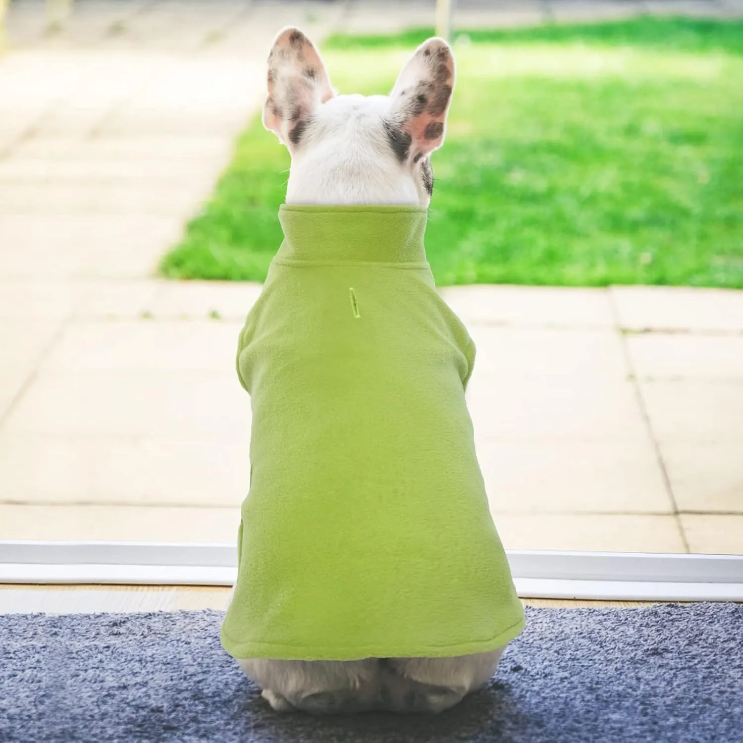 FUAMEY Dog Fleece Vest,Warm Sweatshirt Puppy Stretchy Sweater Pullover Dog Turtleneck Coat Dog Winter Jacket with Leash Hole, Dachshund Sweaters Yorkie Clothes for Small Medium Large Dogs Green L