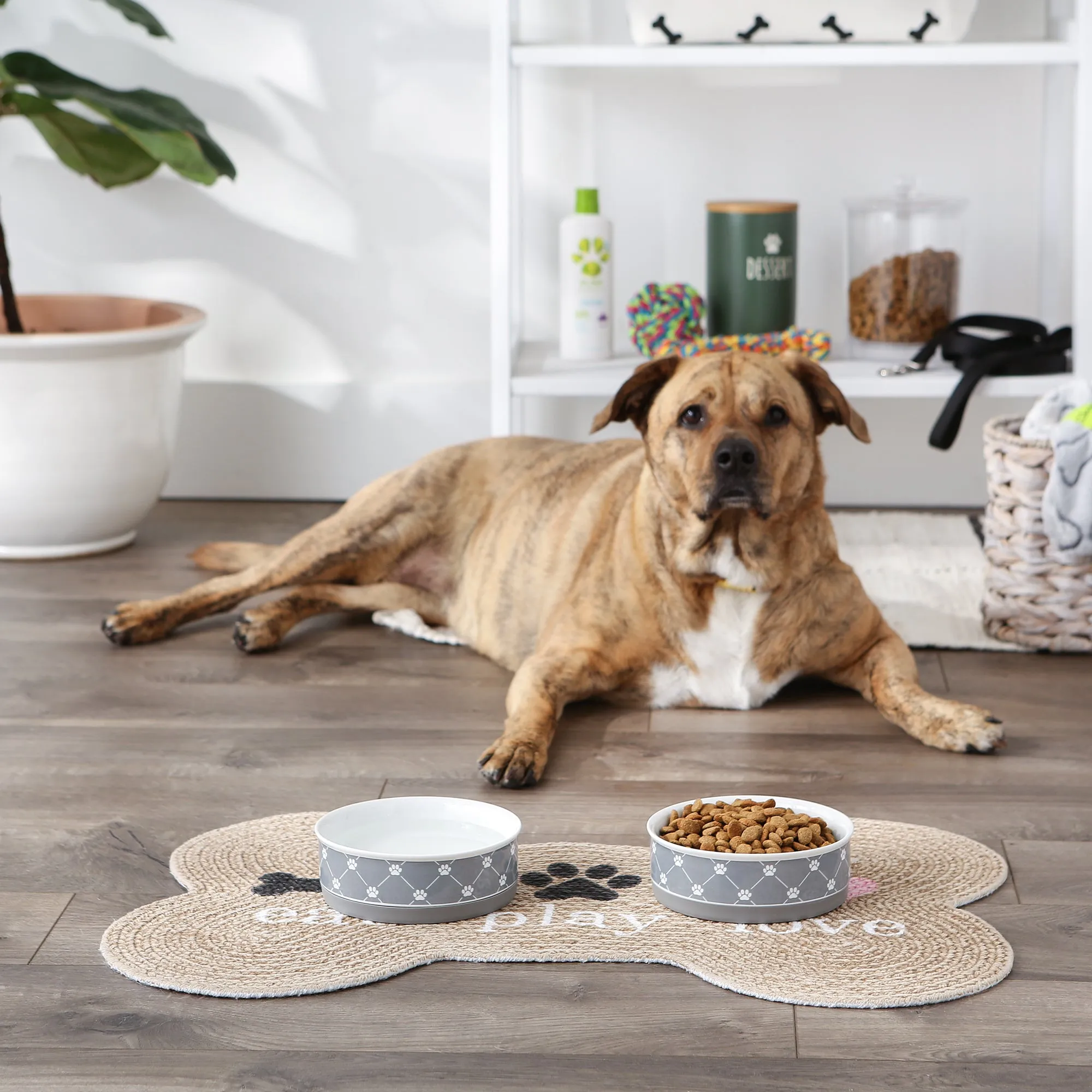 Gray Trellis Paw Print Pet Bowl Set/2, Medium - 1.5 C. Capacity