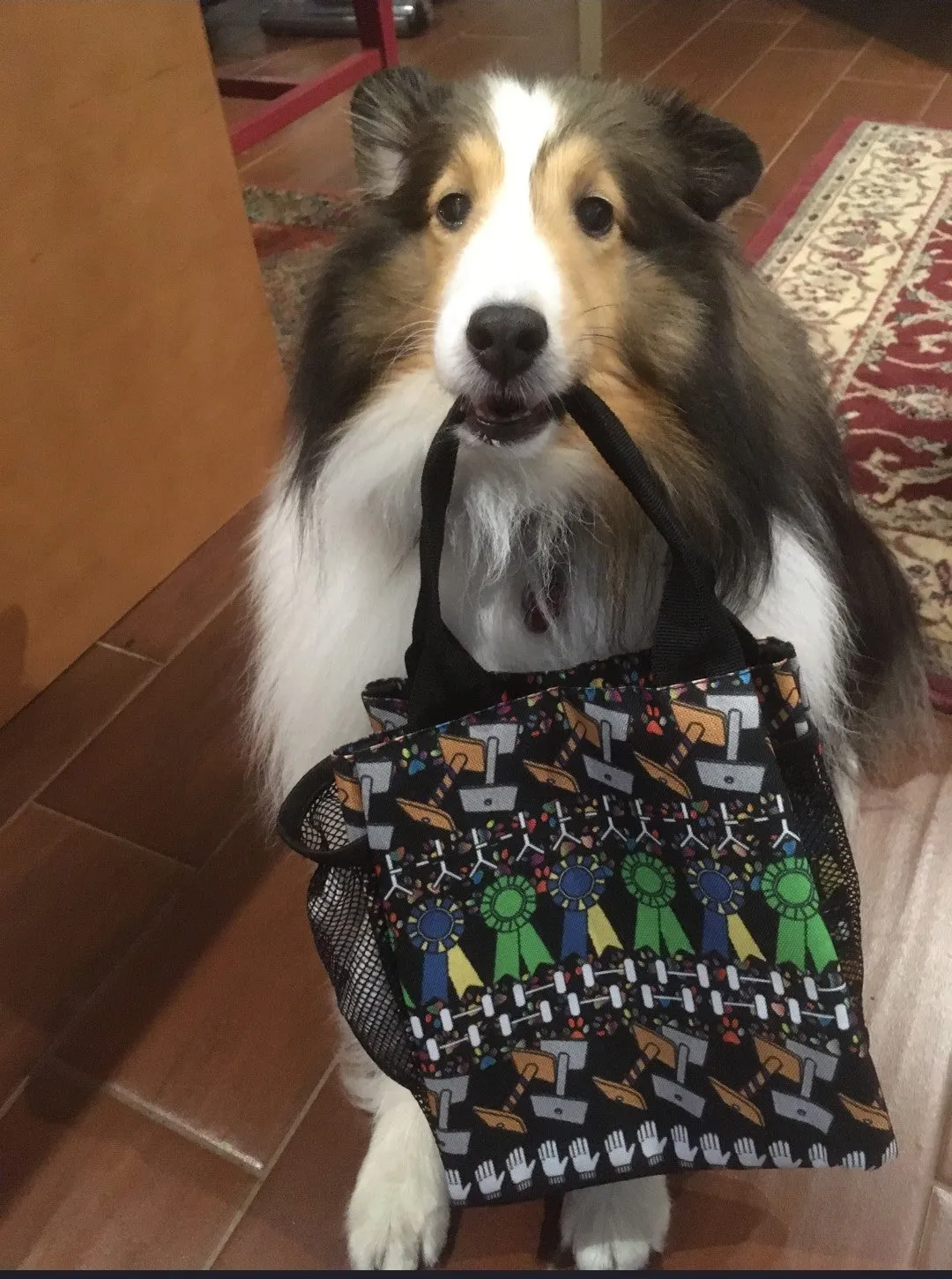 High in Trial Little Tote Obedience bag, so fun
