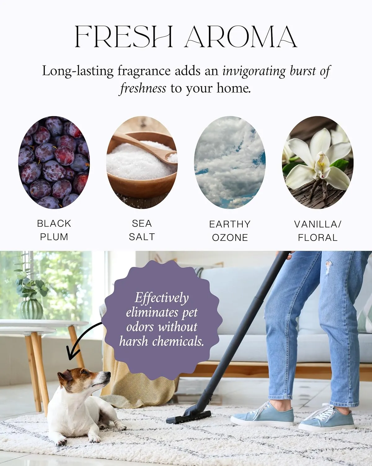 Home "Noir Luxe" Eco-Friendly Carpet Powder/Upholstery Deodorizer  Black Plum, Sea Salt, and Ozone  Eliminates Odors Naturally, Cat Litter/Dog Bed Pet-Friendly, 15 oz