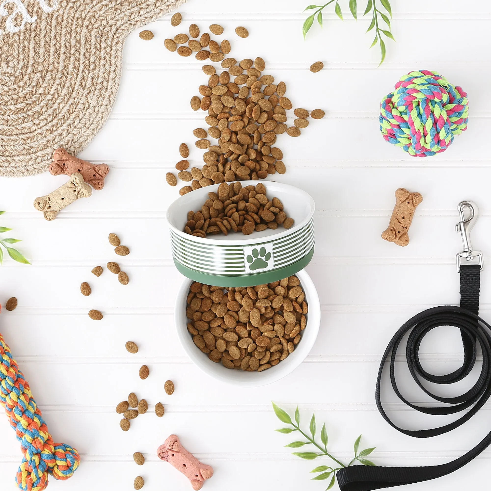 Hunter Green Striped Paw Patch Pet Bowl Set of 2, Medium - 1.5 C. Capacity