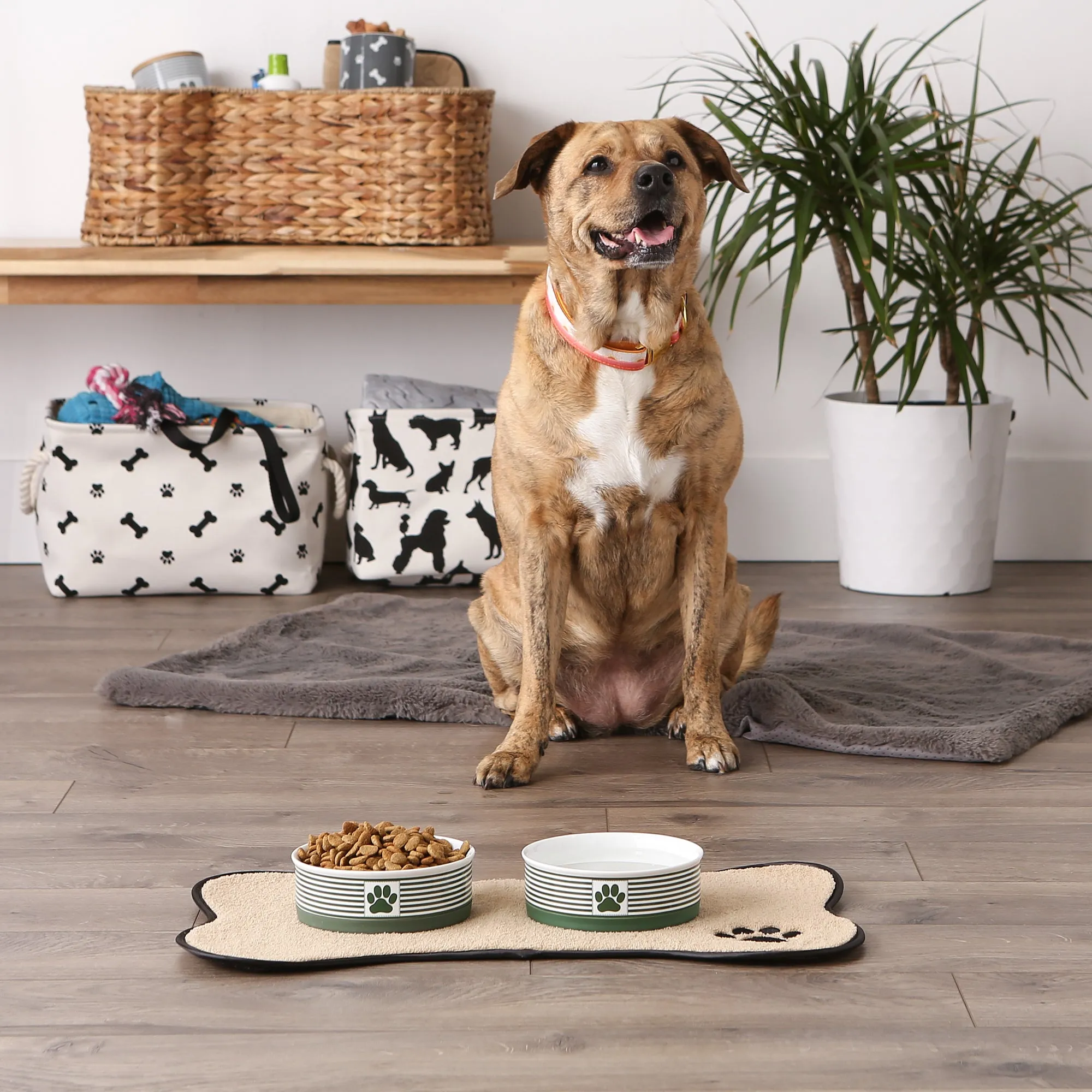 Hunter Green Striped Paw Patch Pet Bowl Set of 2, Medium - 1.5 C. Capacity