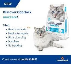 INTERSAND ODOR LOCK MAX 25#