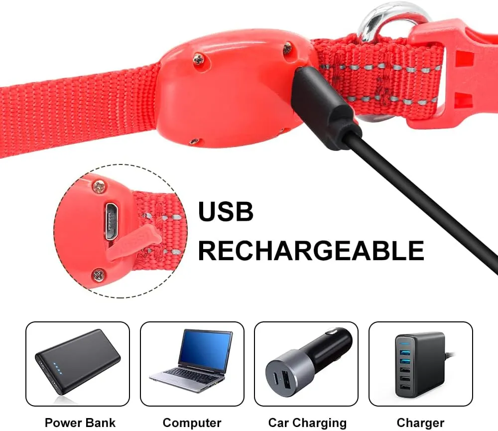 Light Up Dog Collar for Small Dogs - Rechargeable Puppy LED Collar Glowing Dog Lights for Night Walking (X-Small, Red)