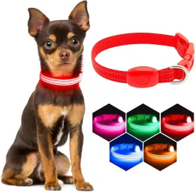 Light Up Dog Collar for Small Dogs - Rechargeable Puppy LED Collar Glowing Dog Lights for Night Walking (X-Small, Red)