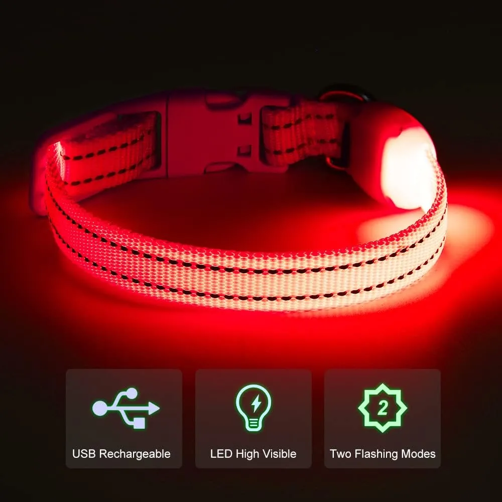 Light Up Dog Collar for Small Dogs - Rechargeable Puppy LED Collar Glowing Dog Lights for Night Walking (X-Small, Red)