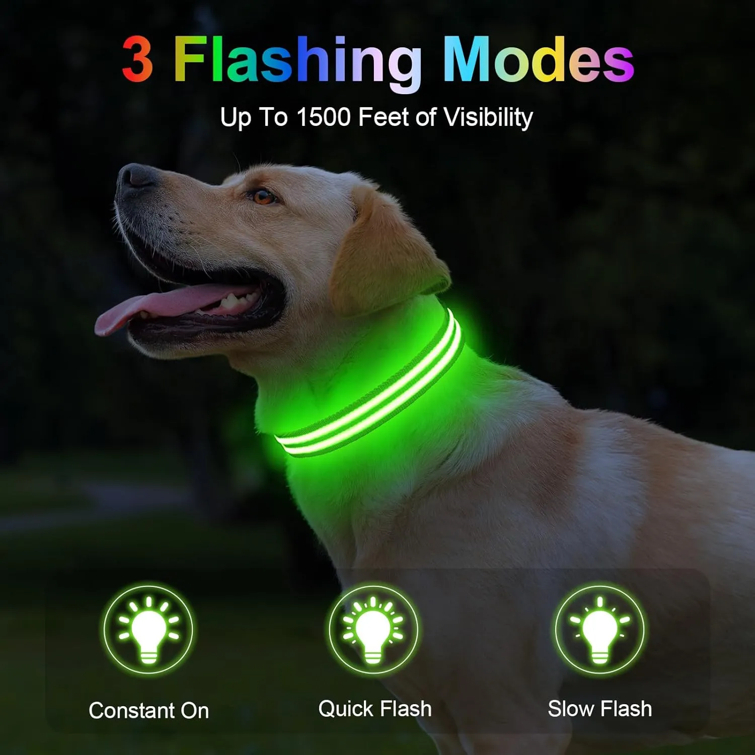 Light Up Dog Collar Rechargable,Reflective LED Collars for Small Medium Large Dogs,Lighted Dog Collars Lights for Night Walking-Waterproof,Green,M