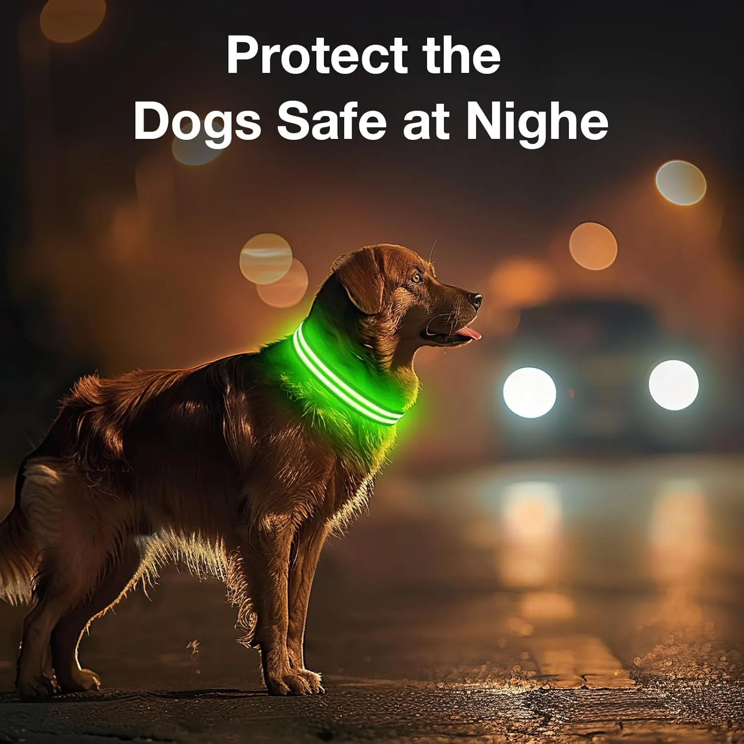Light Up Dog Collar Rechargable,Reflective LED Collars for Small Medium Large Dogs,Lighted Dog Collars Lights for Night Walking-Waterproof,Green,M