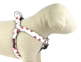 Limited Edition Watermelon Dog Harness - 756