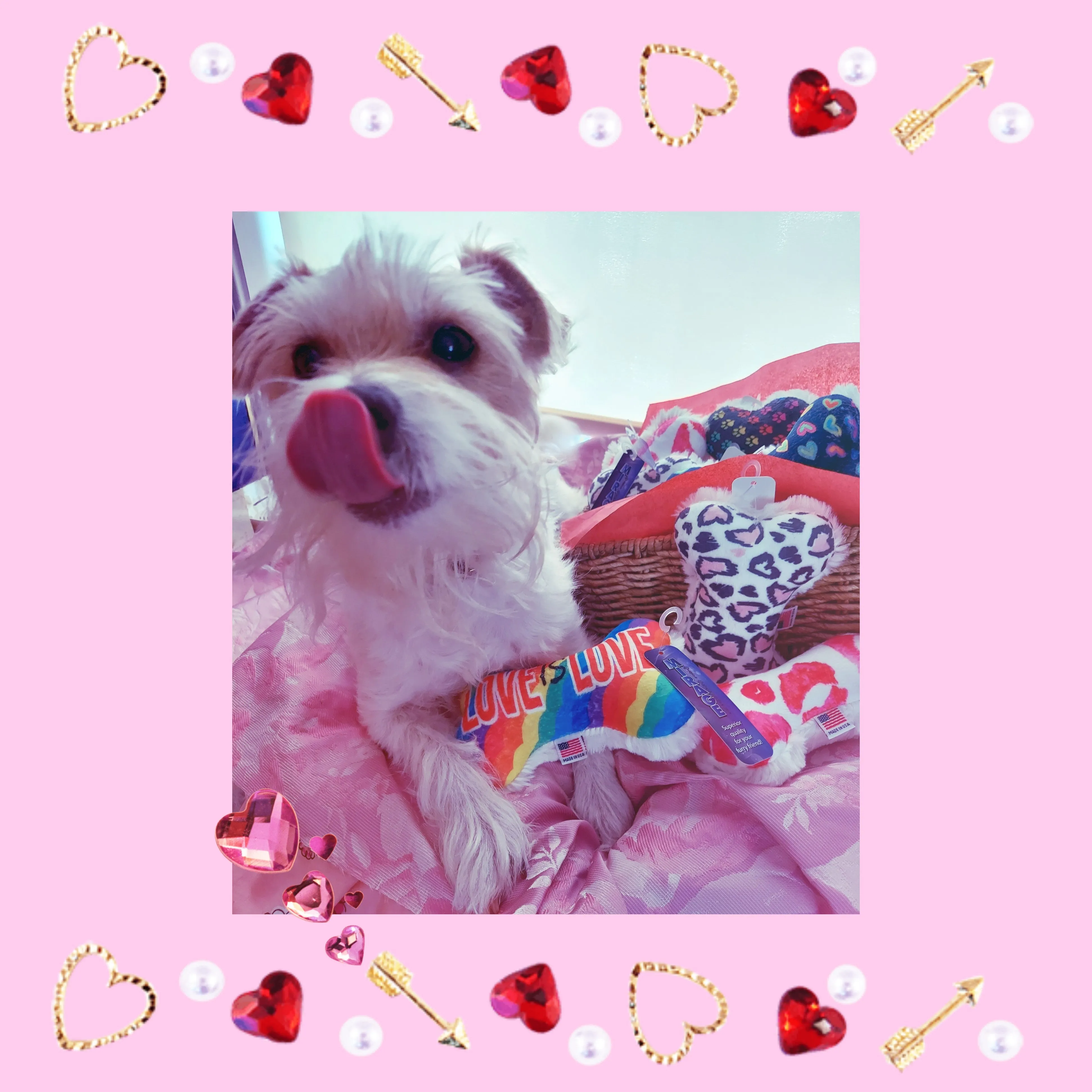 Love Pink Leopard Hearts or Kisses Plush Dog Toy Bones made in the USA