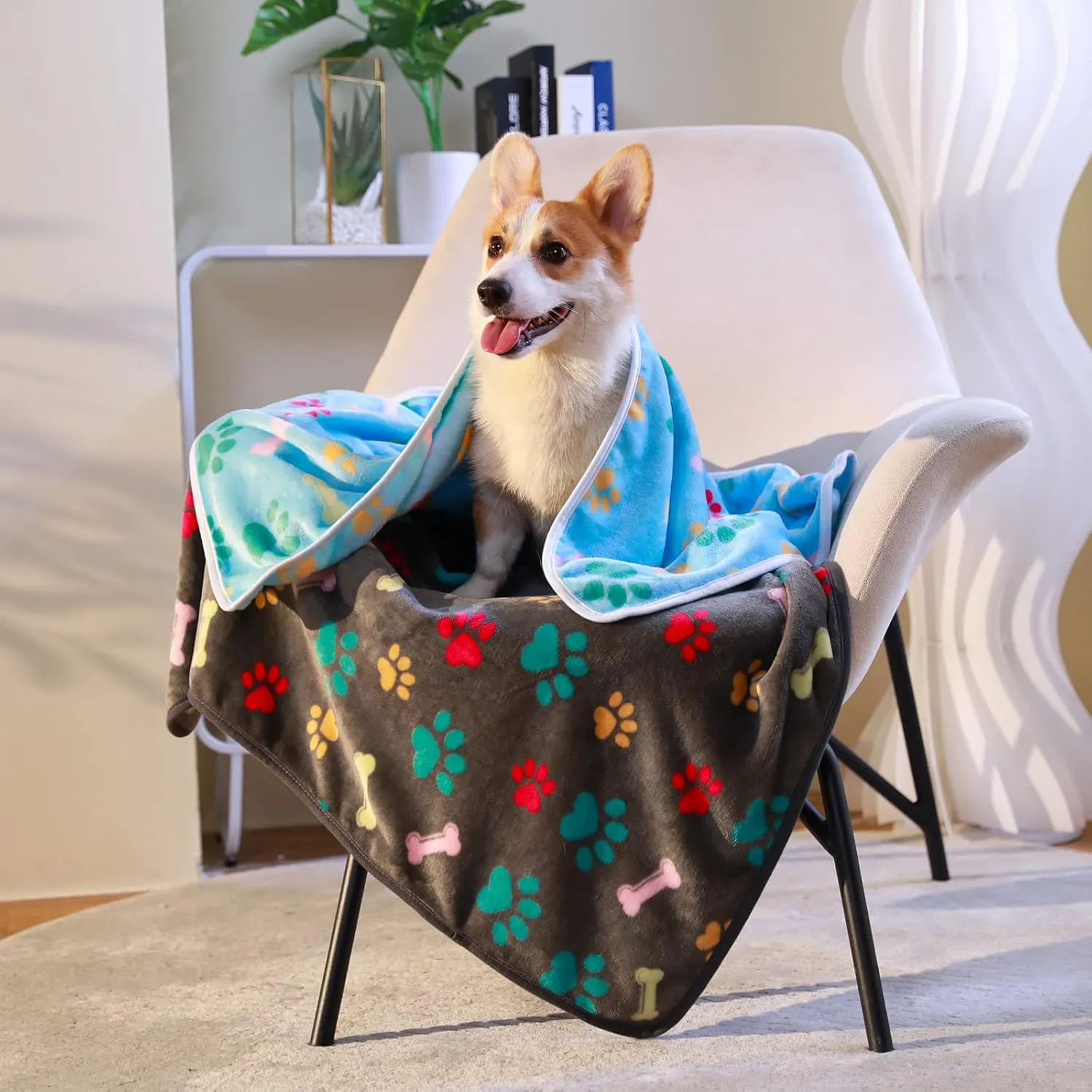 Luciphia 1 Pack 6 Dog Blankets Cat Soft Fluffy Fleece Pet Blanket Warm Cute Print Design Puppy Kitten Doggy Bone Large(41"x31")