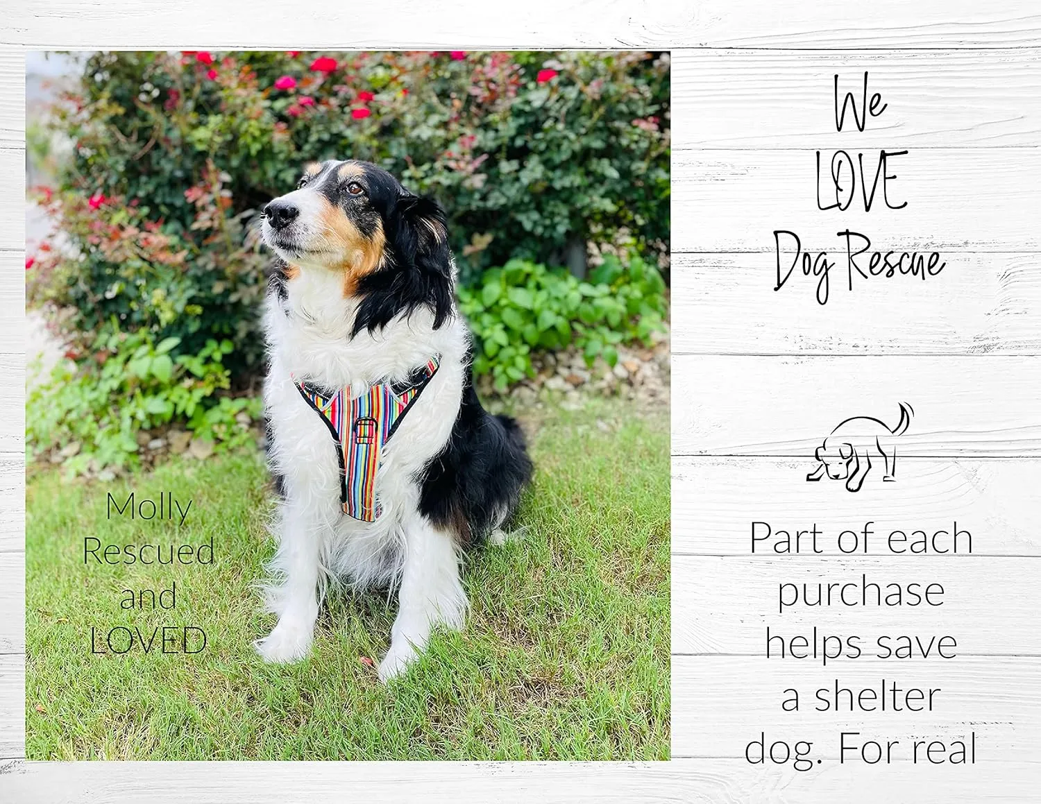 Lucky Love Dog No Pull Dog Harness, Adjustable and Easy to Walk, Cute Patterned Harness for Small Medium Large Male & Female Dogs - Primrose, Small