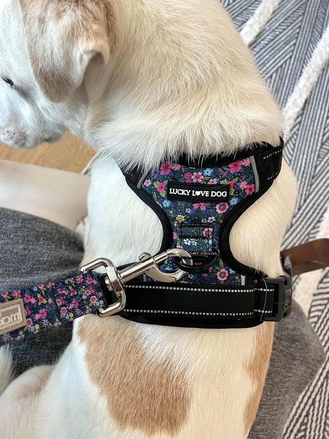 Lucky Love Dog No Pull Dog Harness, Adjustable and Easy to Walk, Cute Patterned Harness for Small Medium Large Male & Female Dogs - Primrose, Small